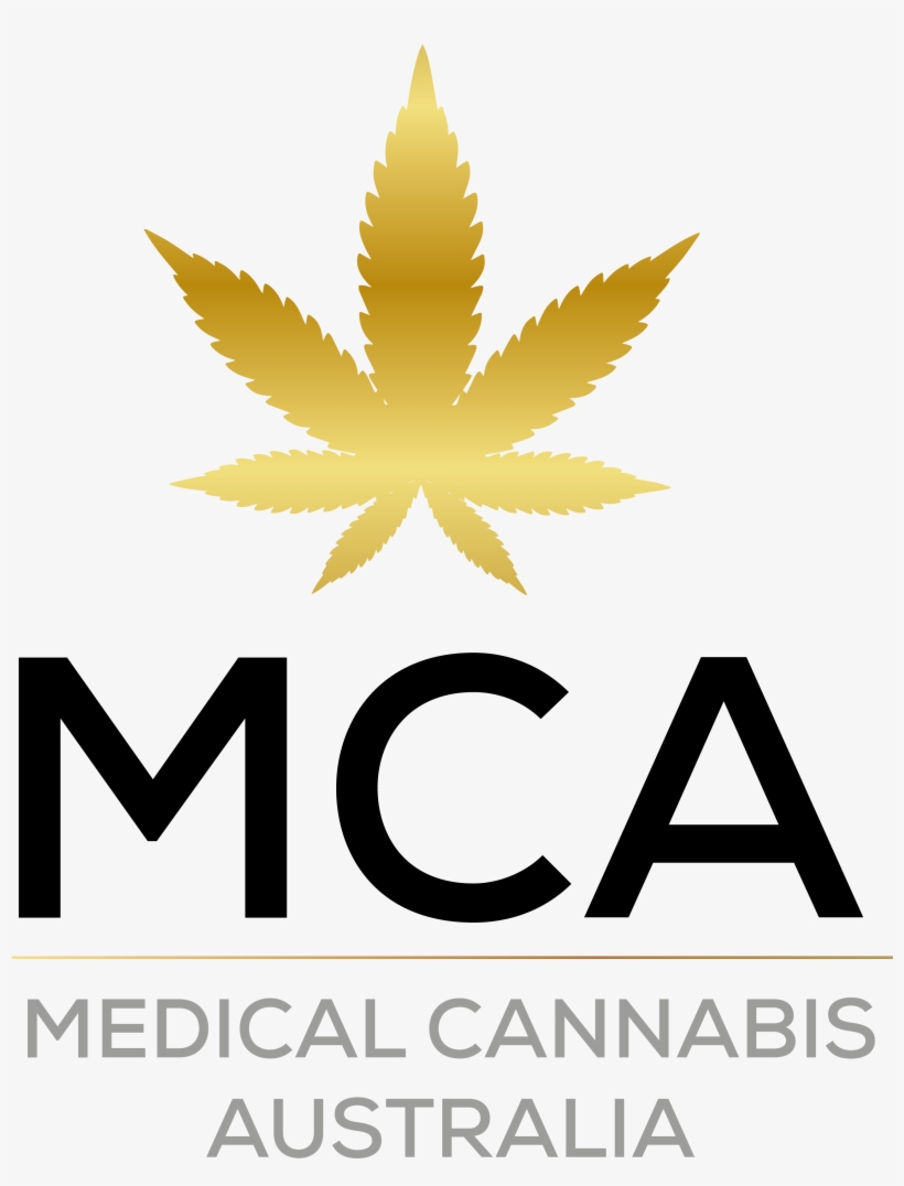 Company Name, transparent png