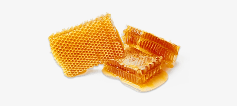 Honeycomb - Barcelona, transparent png