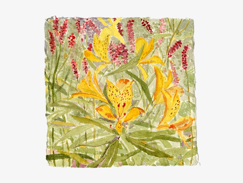 Watercolor, Gouache & Pastel - Placemat, transparent png