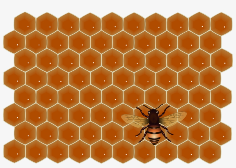 Bee - พื้น หลัง น้ำผึ้ง Png, transparent png