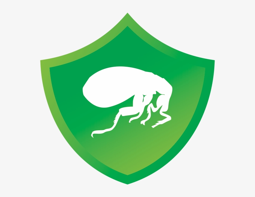 Kills Fleas Fast Before They Lay Eggs Keeping Dogs - Dog, transparent png