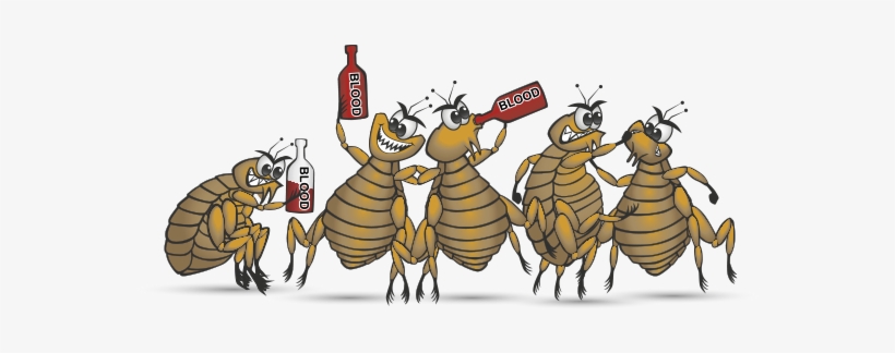Available From Your Local Vets Today - Rip Fleas, transparent png