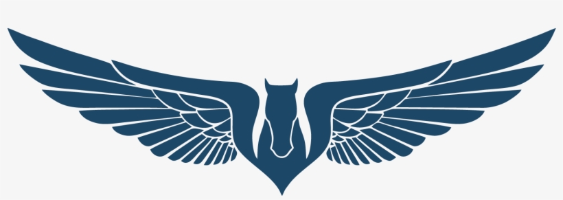 Usas Eagle Drone - Imagens De Asas De Anjo, transparent png