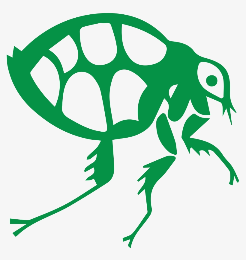 Flea, transparent png