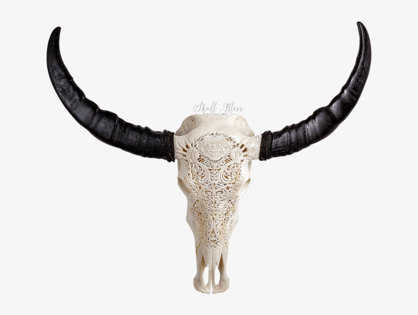 Carved Buffalo Skull - Skull, transparent png