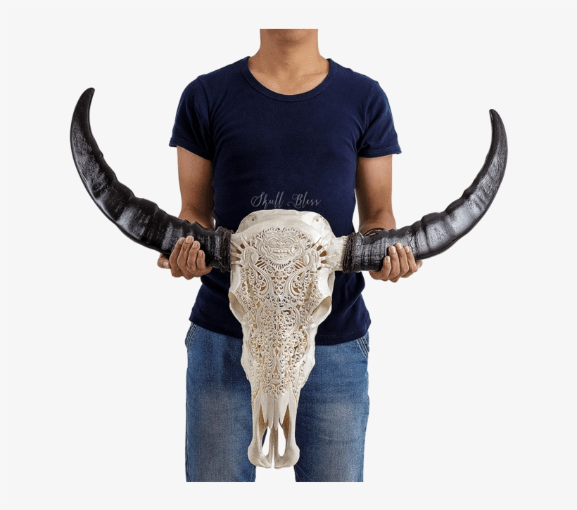 Carved Buffalo Skull - Flower Garden, transparent png