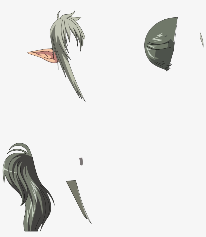 Echidna 149kb Feb 06 2011 - Cartoon, transparent png