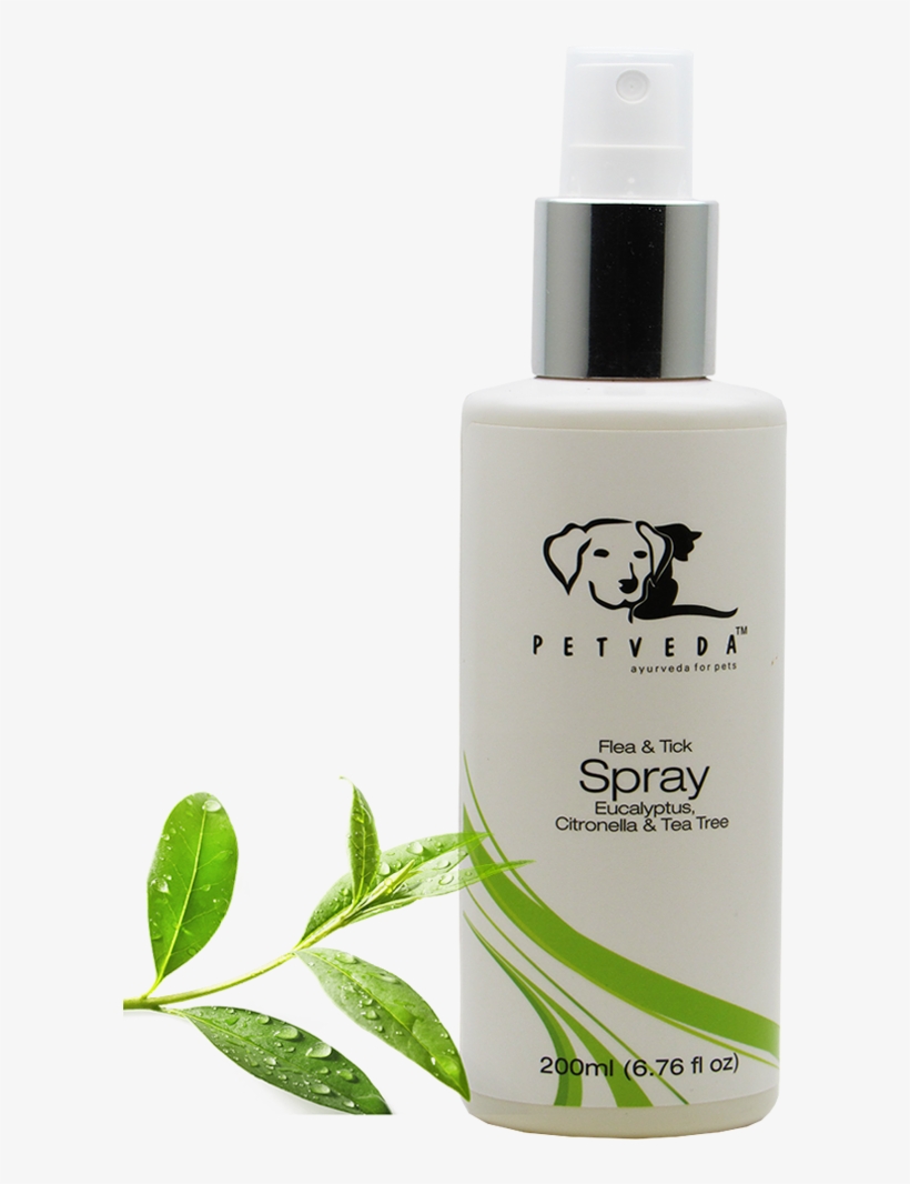 Tick & Flea Spray - #1 Best Deep Organic Conditioner With Tea Tree Oil,, transparent png