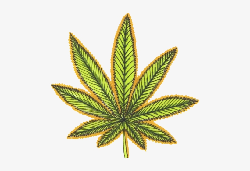 Tumblr Mlp4bqbhgv1r32dryo1 500 - Grey Marijuana Leaf, transparent png