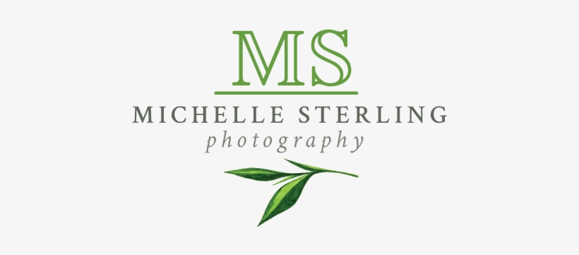 Green Leaf And Initials - Book Cover, transparent png