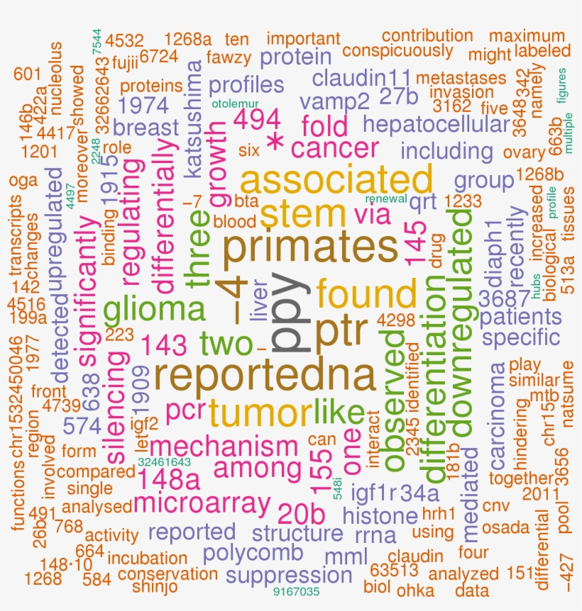 Stem Loop Sequence Hsa Mir - Illustration - 1451x1456 PNG Download - PNGkit