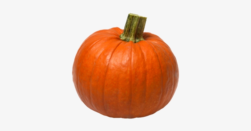 Share This Article - Pumpkin Transparent Background, transparent png