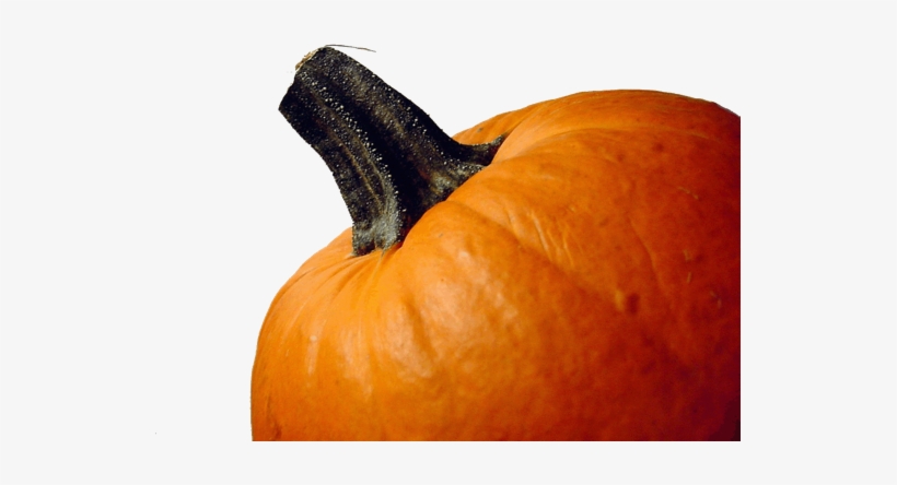 Pumpkin-149 - Happy Thanksgiving To Our Clients, transparent png