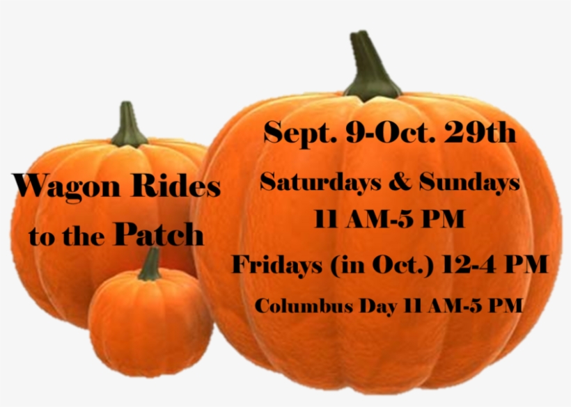 Website Wagon Rides Hours - Pumpkin, transparent png
