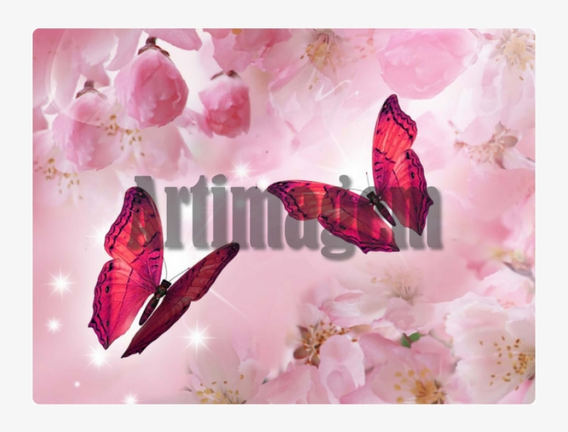 逍遙遊‧莊子【典藏新版】, transparent png