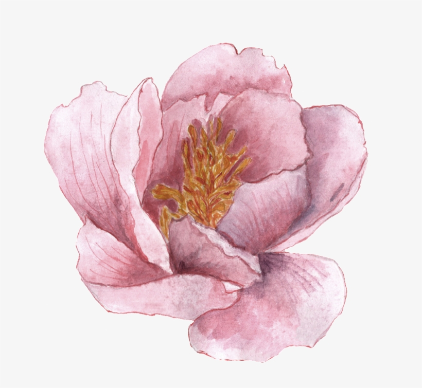 Png De Ornamento Transparente Para O Mosaico Do Imperador - Watercolor Painting, transparent png