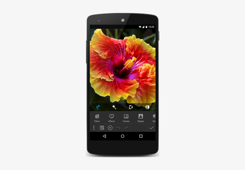 Photo Studio Pro Apk - Hawaiian Hibiscus, transparent png