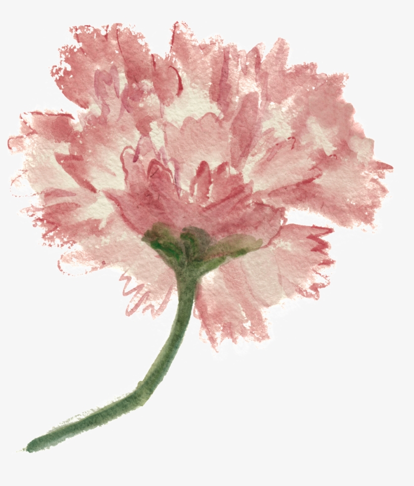 Png De Ornamento Transparente E Decorativo De Cor De - Flower, transparent png