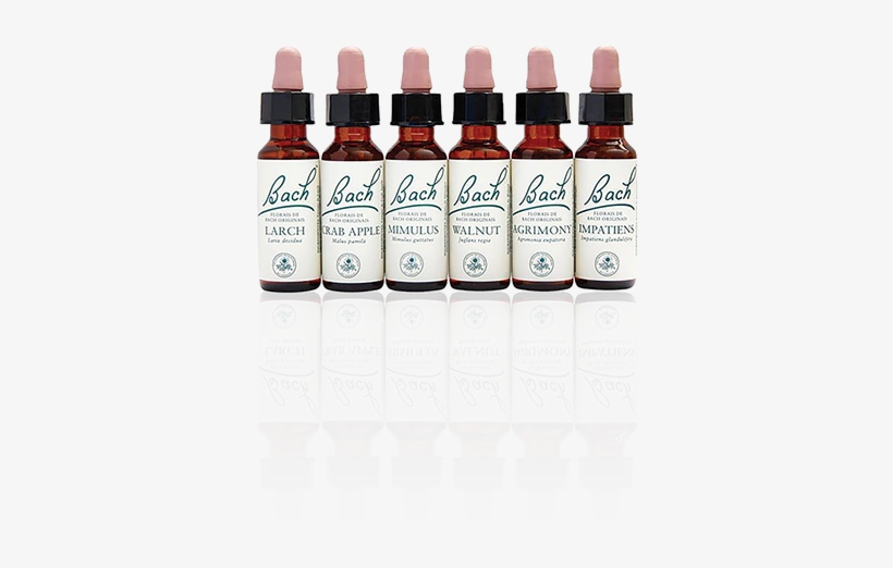 Conheça Os Benefícios Dos Florais De Bach - Flores De Bach Originales Fb Vervain 20ml. (bach Flowers), transparent png