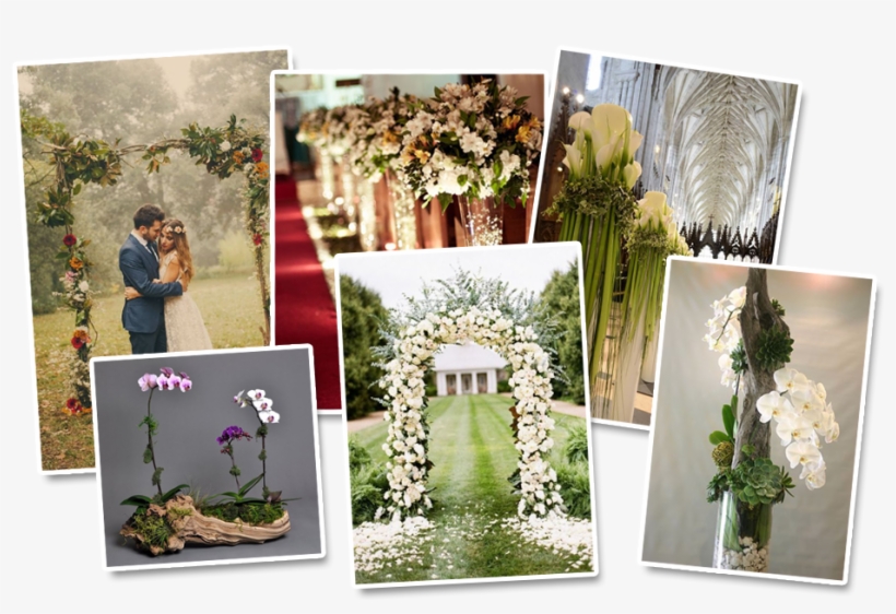 Curso Arranjos Florais - Homeshopz Adorox 7.5 Ft Lightweight White Metal Arch, transparent png