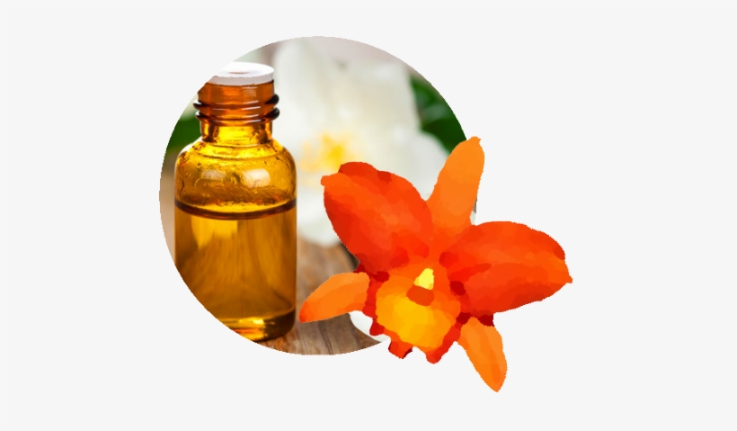 Florais De Bach - Essential Oil, transparent png