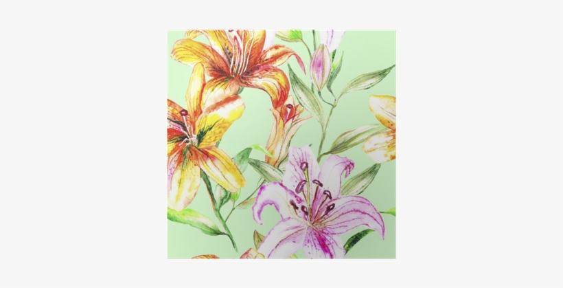 Póster Belas Orquídeas Florais Vermelhas Originais - Watercolor Painting, transparent png