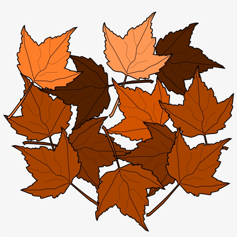 Maple Leaf Clipart Small Leaf - Dead Leaves Clipart, transparent png