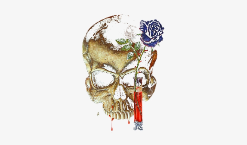 Skeletons Skulls - Skull, transparent png