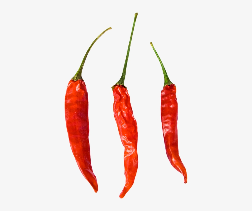 Gourmet, transparent png