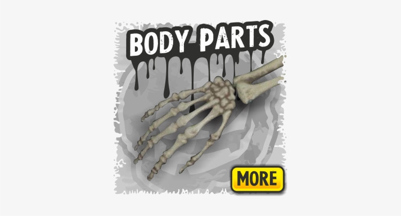 Body Parts A Skeletons Decor - Skeleton, transparent png