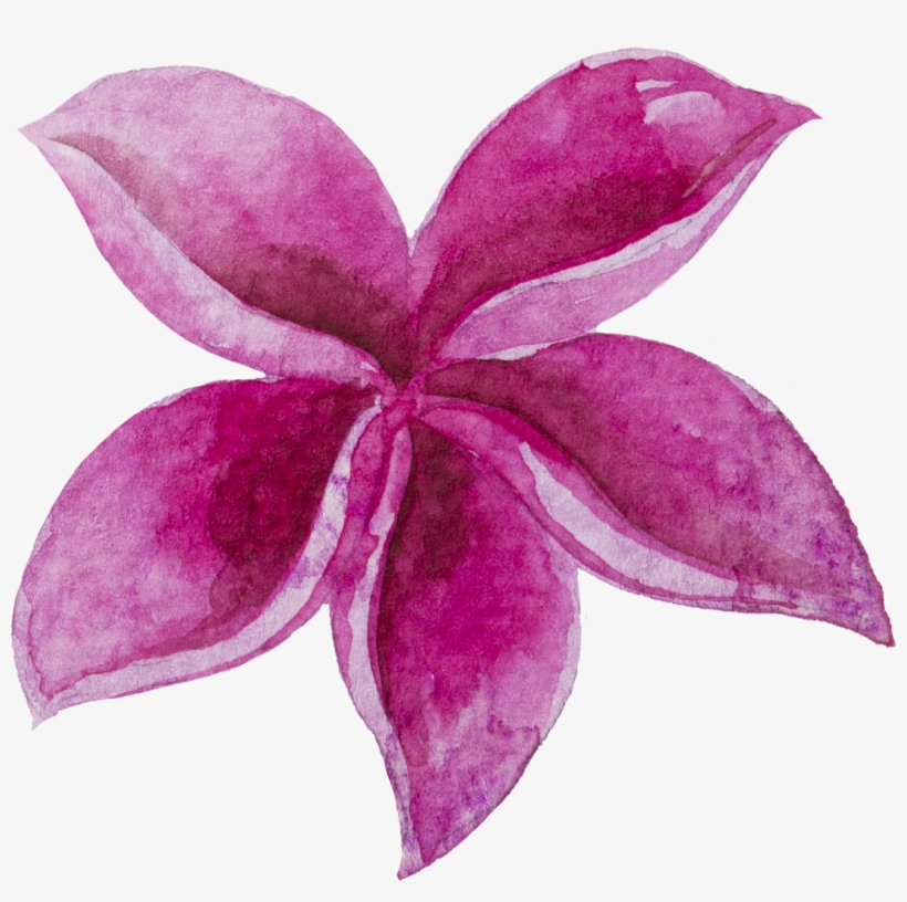 Watercolour Watercolor Sticker Ftestickers Flowers - Watercolor Painting, transparent png