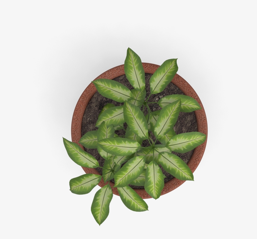 S - Mockup, transparent png