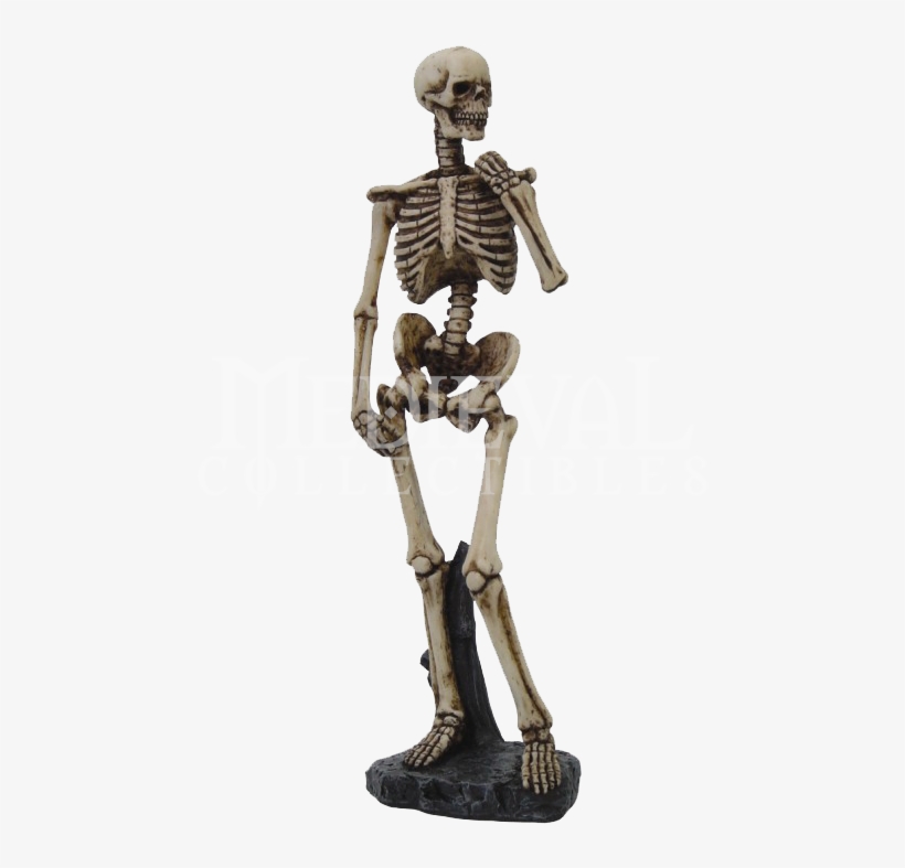 Skeleton - Michelangelo David Skeleton, transparent png