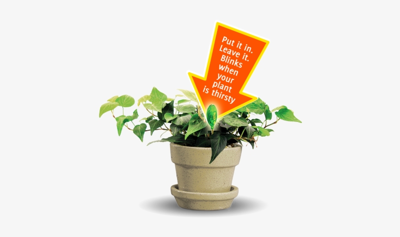 Intuitive Plant Moisture Sensor - Houseplant, transparent png