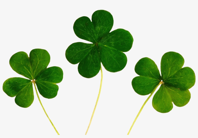Cs Painted Shamrocks - Good Luck Symbols, transparent png