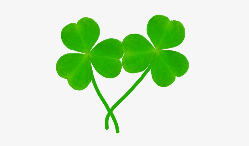 Free Library St Patrick S Day Two Leaves Of - Shamrock, transparent png