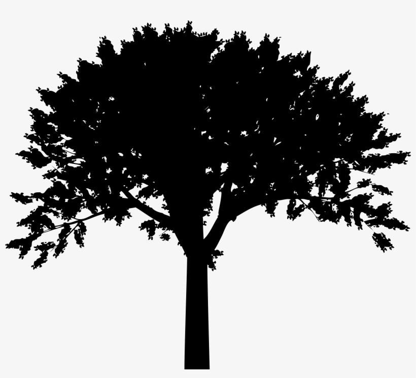 Free Clipart Tree Silhouette, transparent png