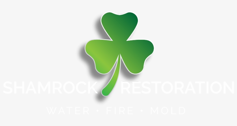 Since Its Establishment, Shamrock Restoration Has Become - Shamrock, transparent png