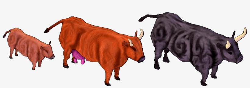 Cattle, transparent png