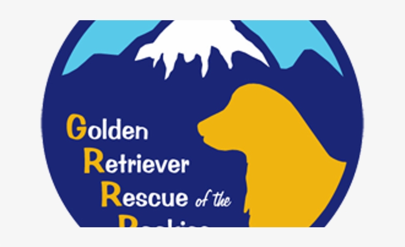 Santa Hat Png Clipart Best Web Golden Retriever Breeders - Bambi Molesters Play Out, transparent png