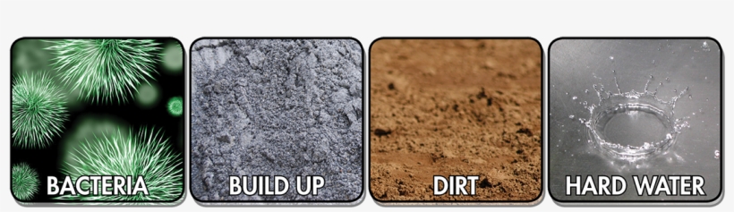 Bacteria-2 - Guide To Negro League Players D, Cool Papa Bell And, transparent png