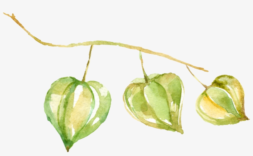 Watercolour - Portable Network Graphics, transparent png