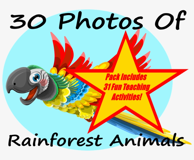 World Earth Day - Parrot, transparent png