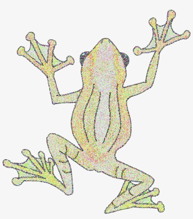 Bamboo Tree Frog - Bufo, transparent png
