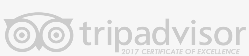 About Us - Trip Advisor, transparent png