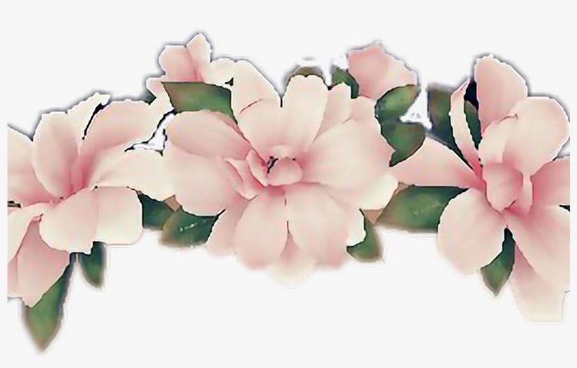 Flower Flowercrown Snapchatfilter Snapchat Pink - White Flower Crown Png, transparent png