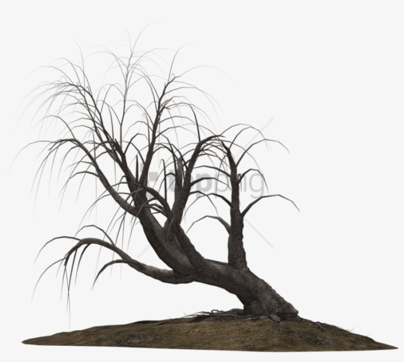 Free Png Download Creepy Trees Png Images Background - Creepy Tree Png, transparent png