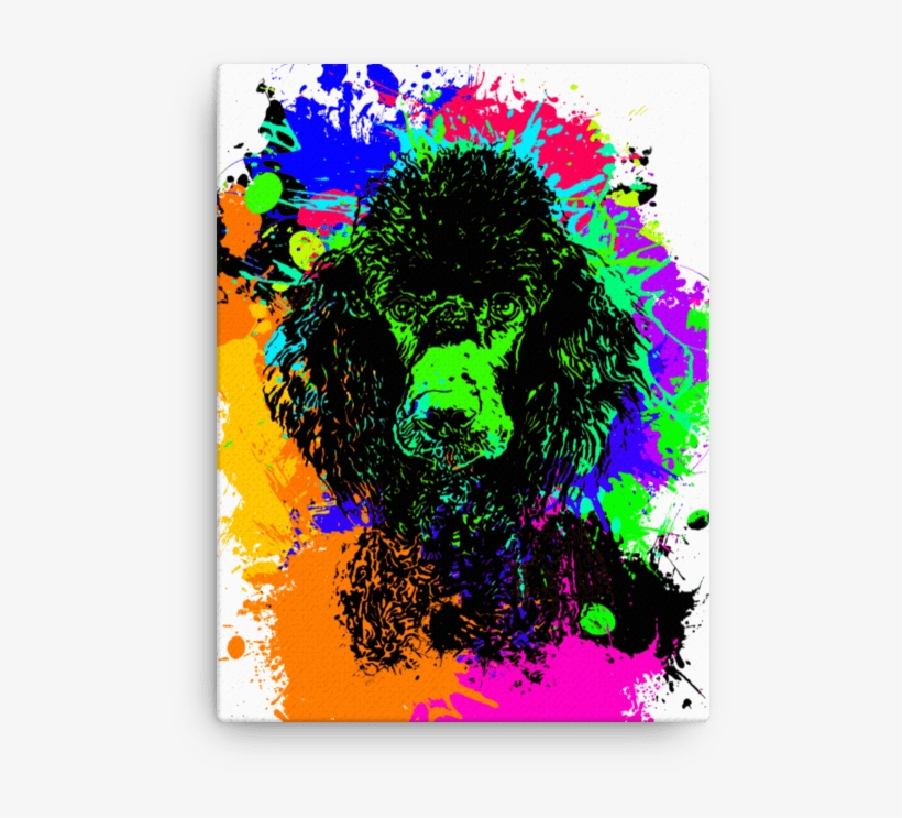 Poodle Colorful Splash Paint Canvas - Circle, transparent png