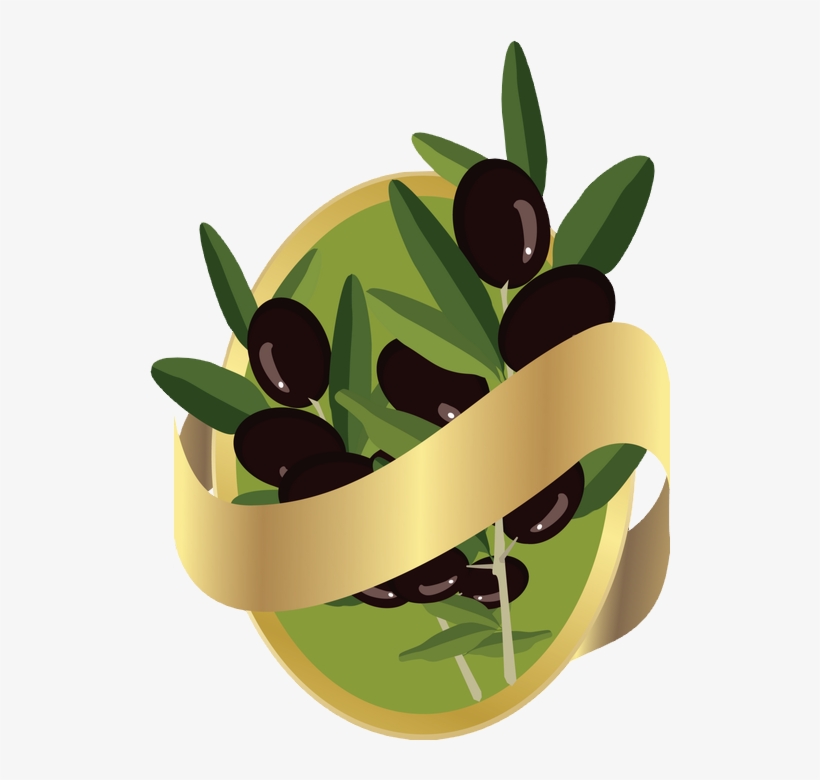Olives Dessin, transparent png