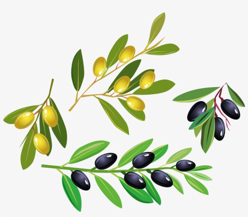 Bud, transparent png